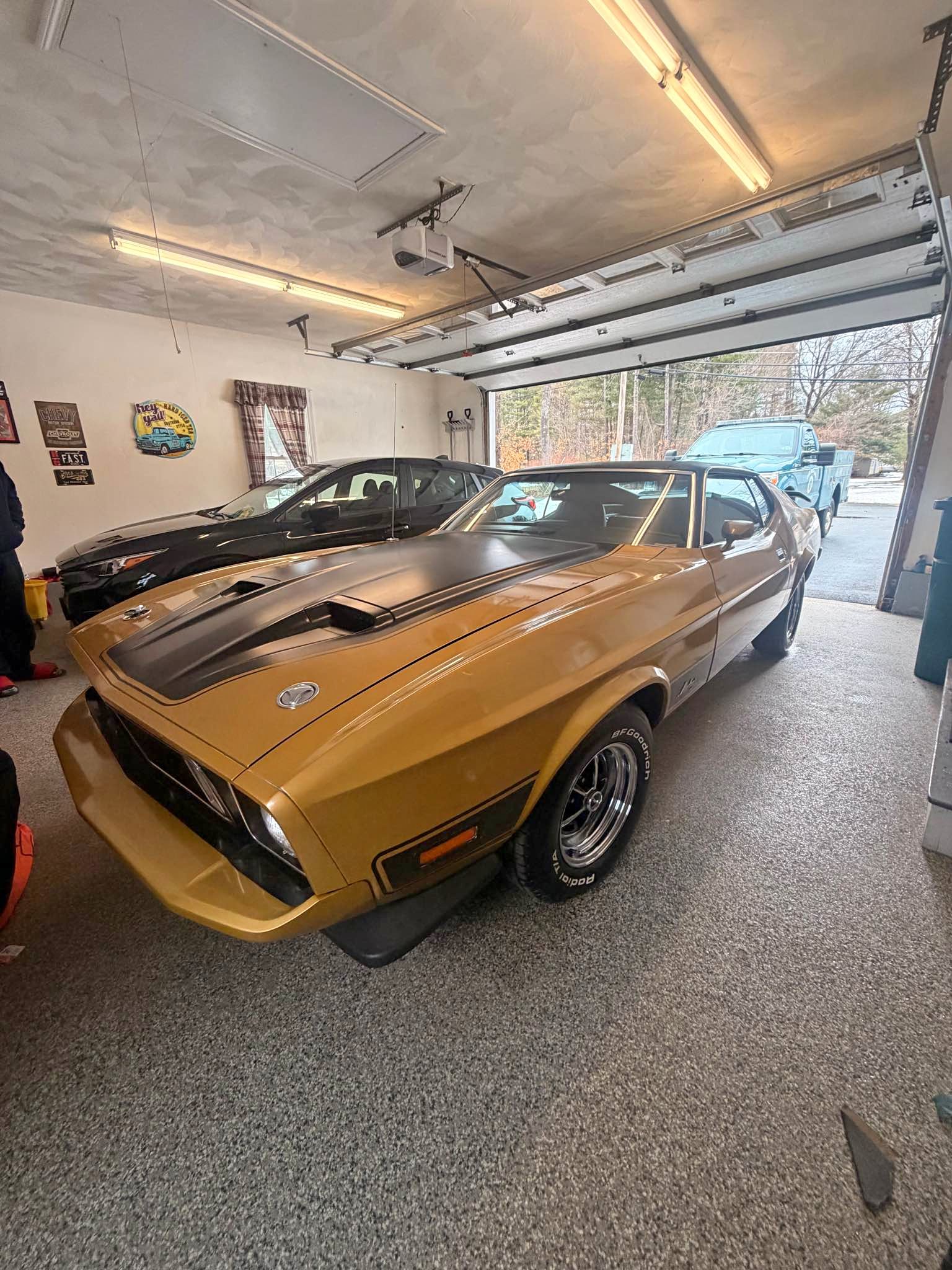 1973 Ford Mustang - Mach 1 Coupe 2D