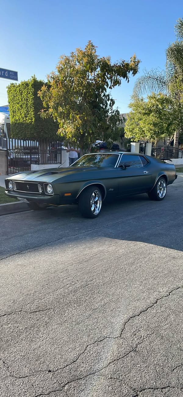 1973 Ford Mustang - Mach 1