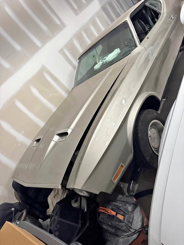 1971 Ford Mustang - Mach 1