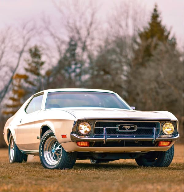 1972 Ford Mustang - Coupe 2D