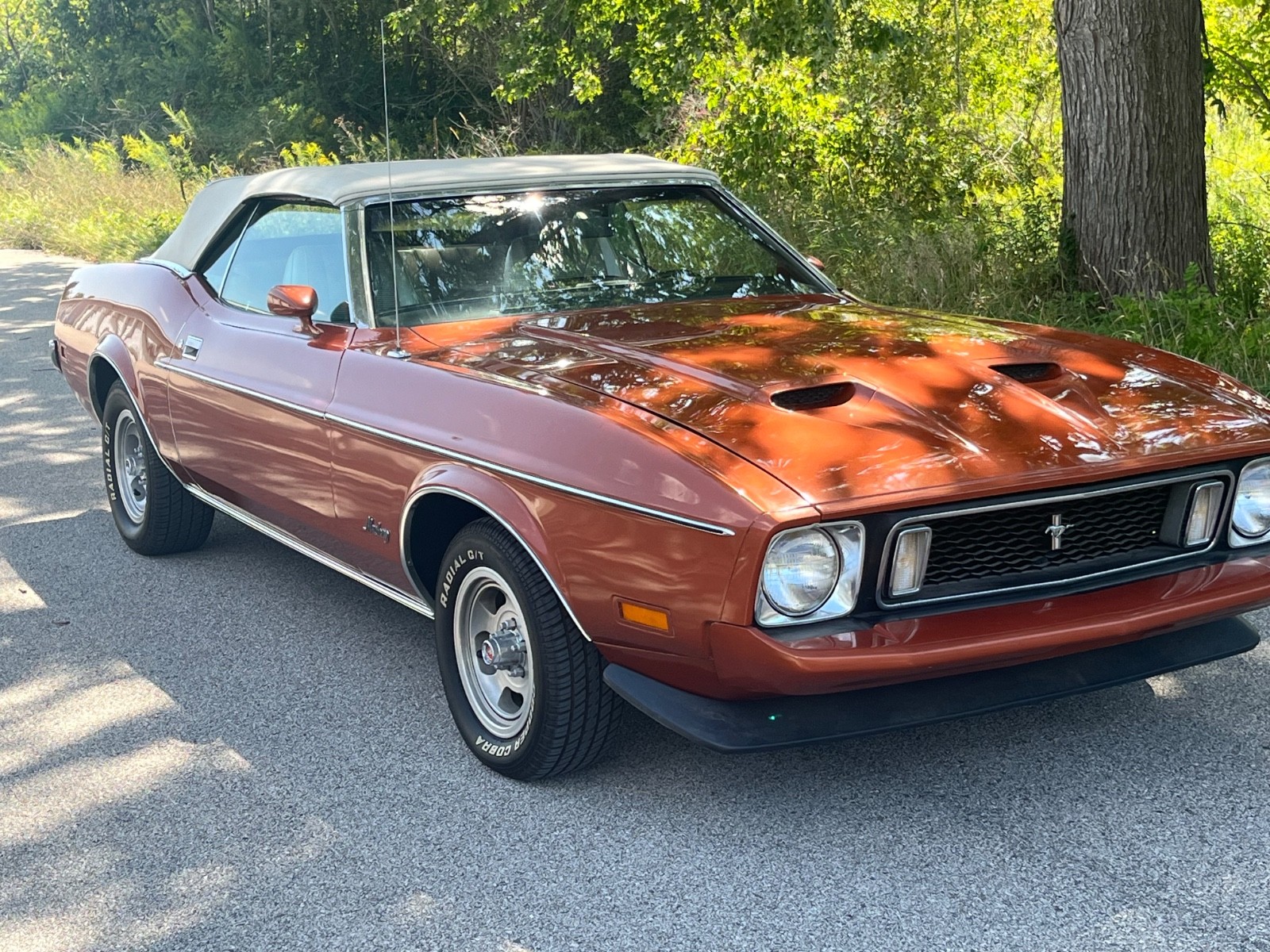 1973 Ford Mustang