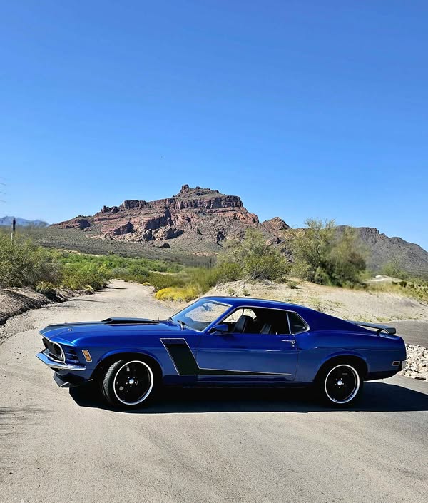 1970 Ford Mustang - Mach 1 Coupe 2D