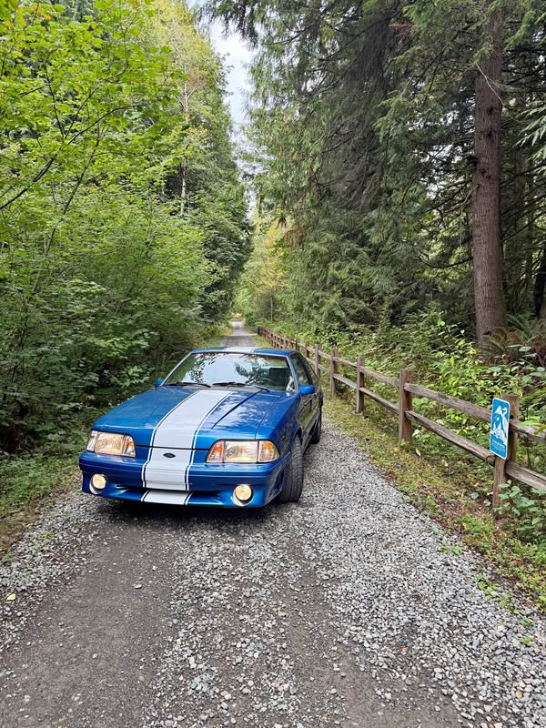 1990 Ford Mustang - Cobra Hatchback 2D
