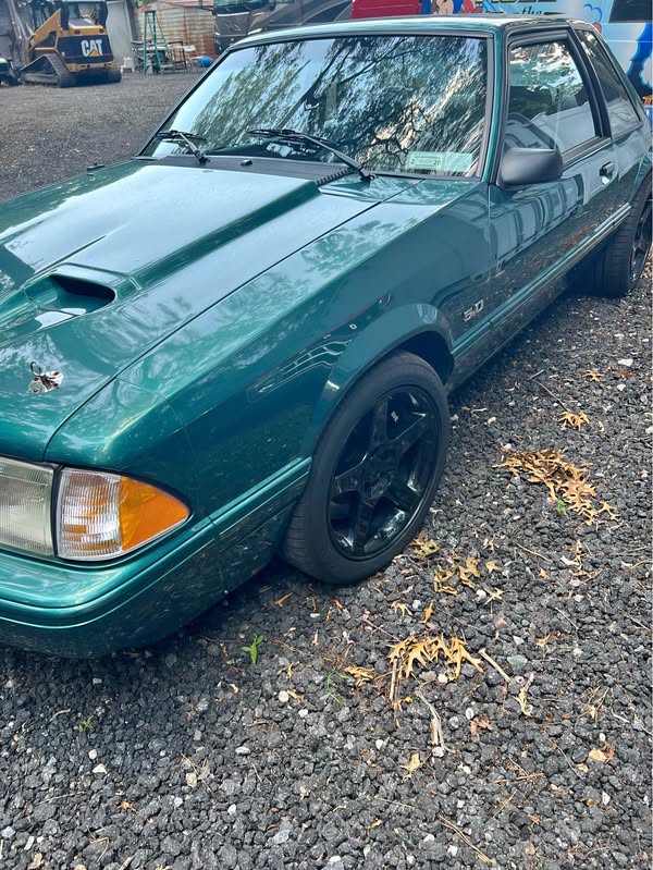 1993 Ford Mustang - LX 5.0 Liter Coupe 2D