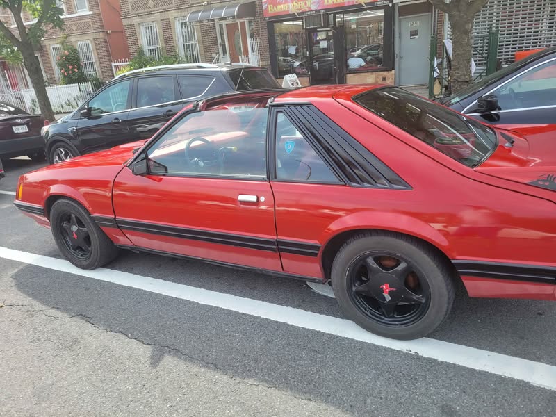 1981 Ford Mustang - Coupe 2D