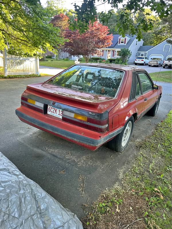 1985 Ford Mustang - GT