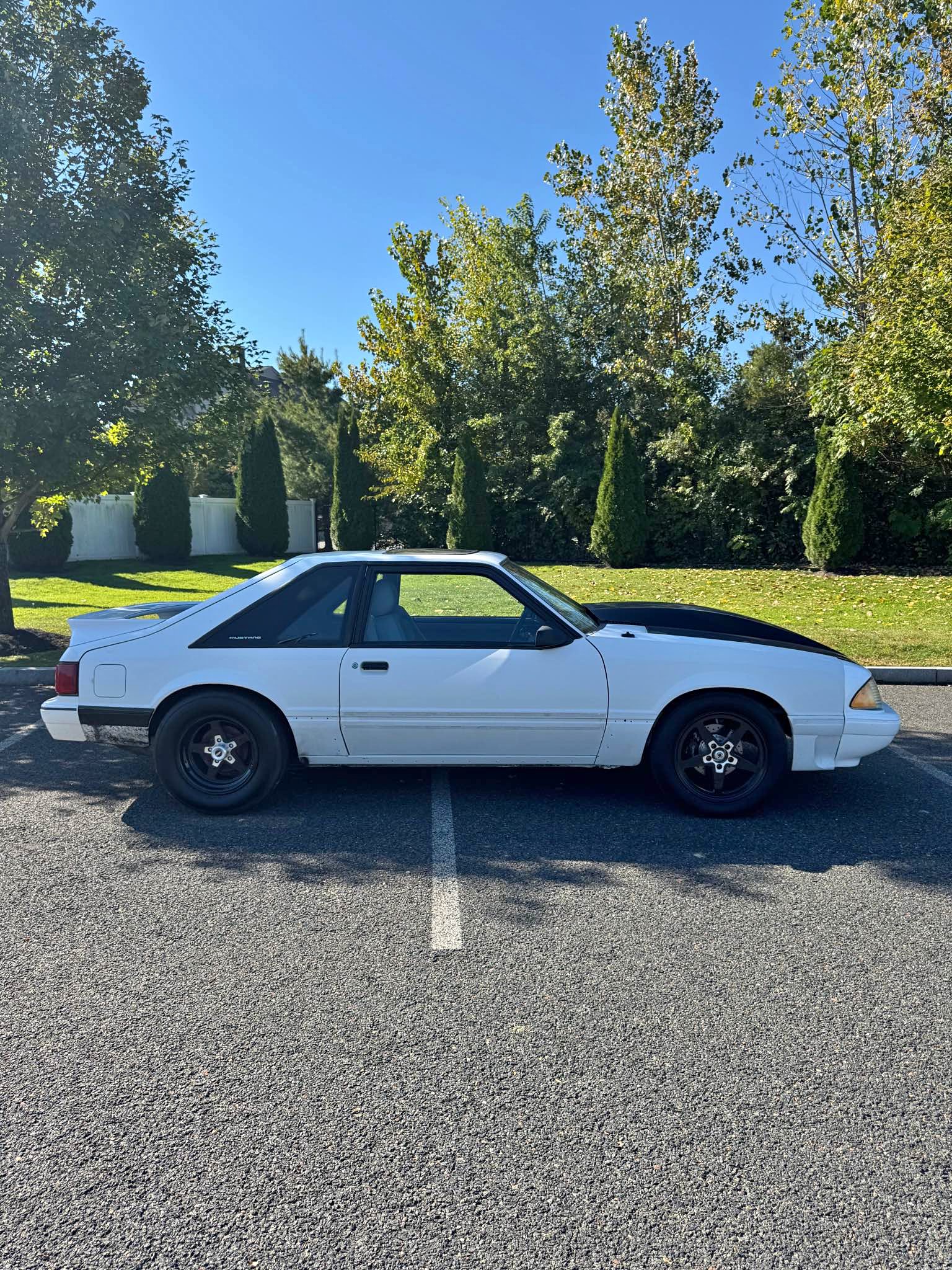 1989 Ford Mustang - GT
