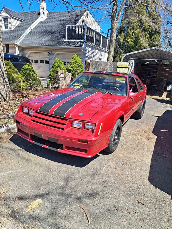 1982 Ford Mustang - GT Coupe 2D