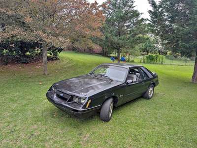 1986 Ford Mustang - GT Hatchback 2D