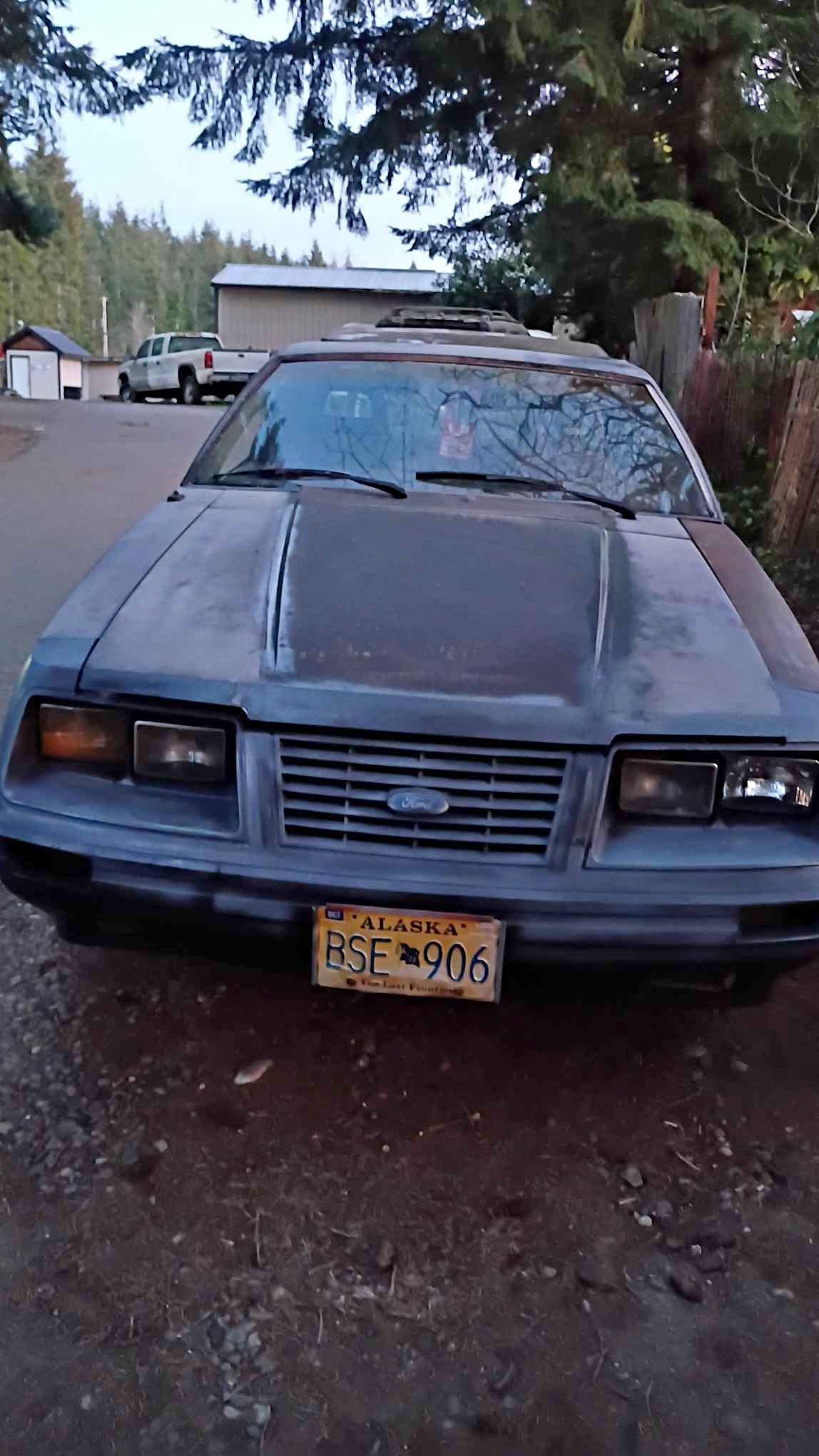 1984 Ford Mustang - LX 5.0 Liter Hatchback 2D