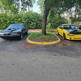 1990 Ford Mustang - LX 5.0 Liter Coupe 2D