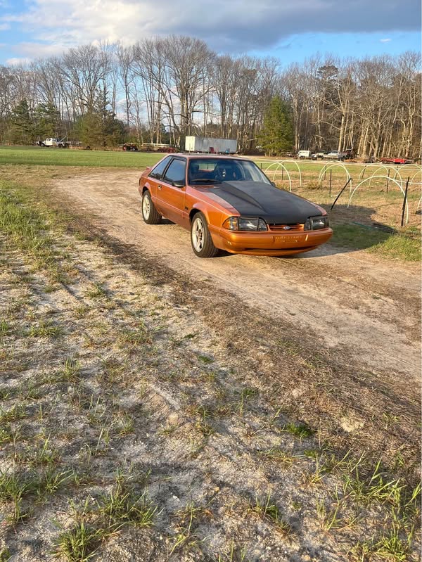 1989 Ford Mustang - LX 5.0 Liter Hatchback 2D