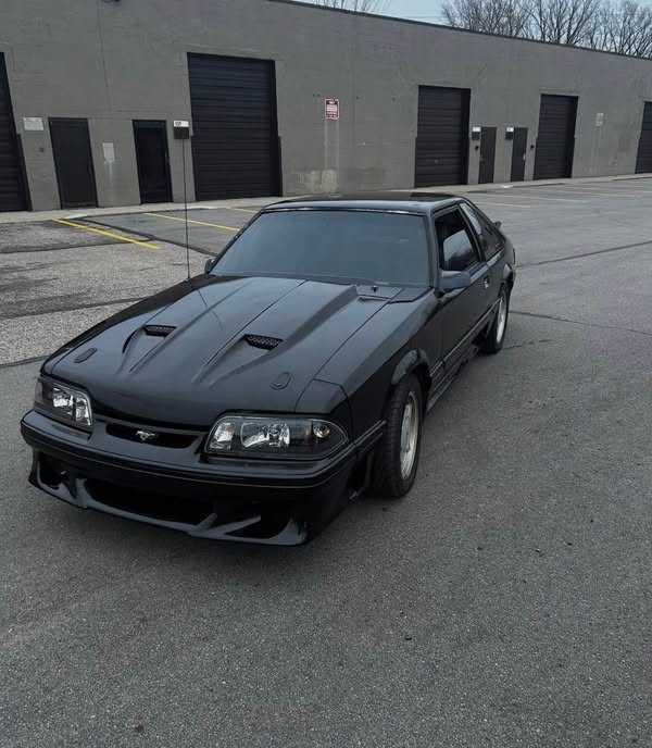 1988 Ford GT - Mustang
