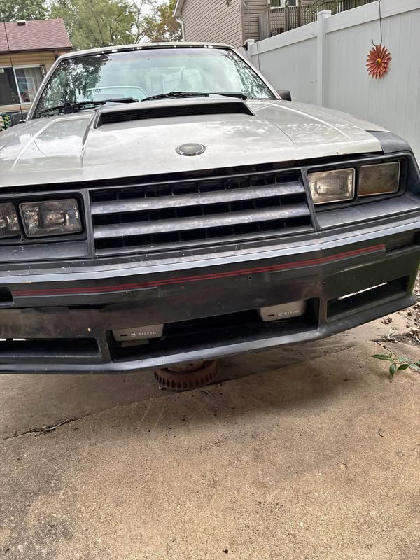 1982 Ford Mustang - GT Hatchback 2D