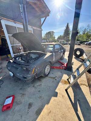 1986 Ford Mustang - 5.0 HO