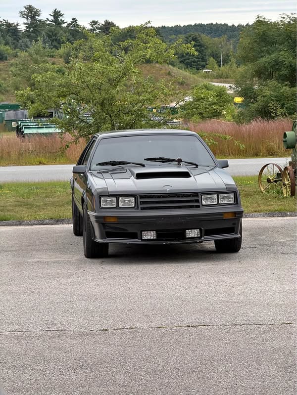 1982 Ford Mustang - LX 5.0 Liter Hatchback 2D