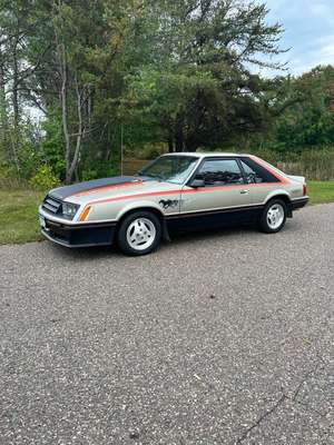 1979 Ford Mustang Original