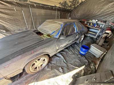 1986 Ford Mustang - GT Hatchback 2D