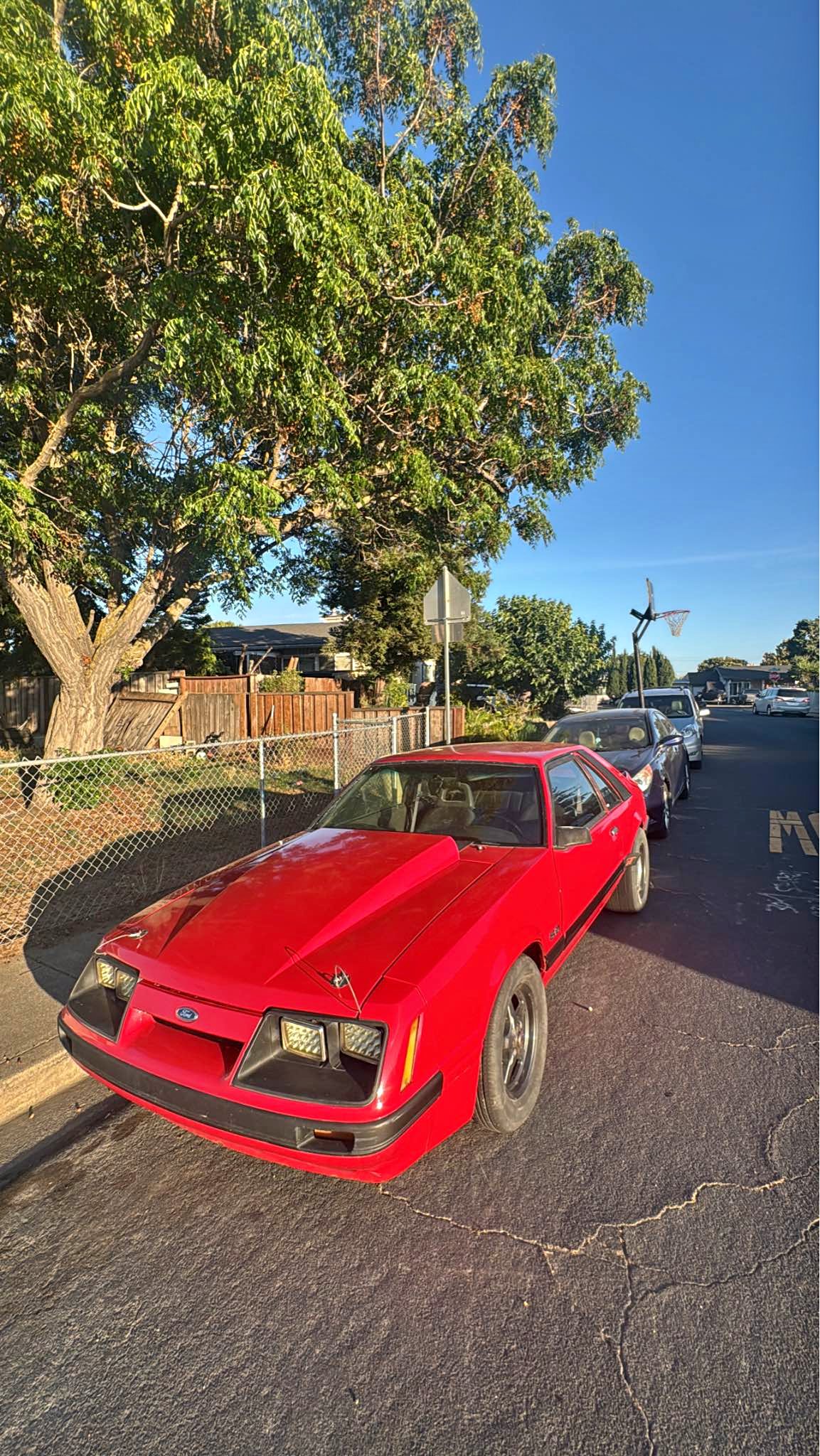 1985 Ford Mustang - GT Hatchback 2D