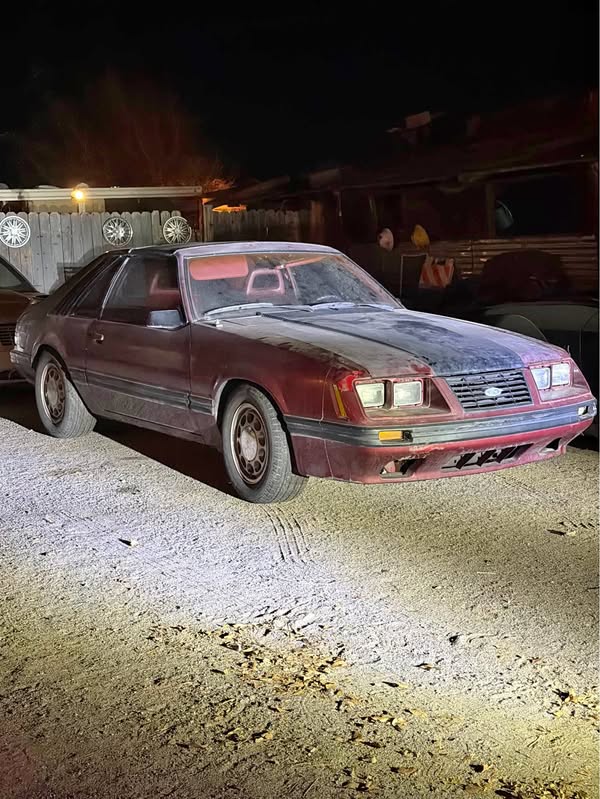 1984 Ford Mustang - GT Hatchback 2D