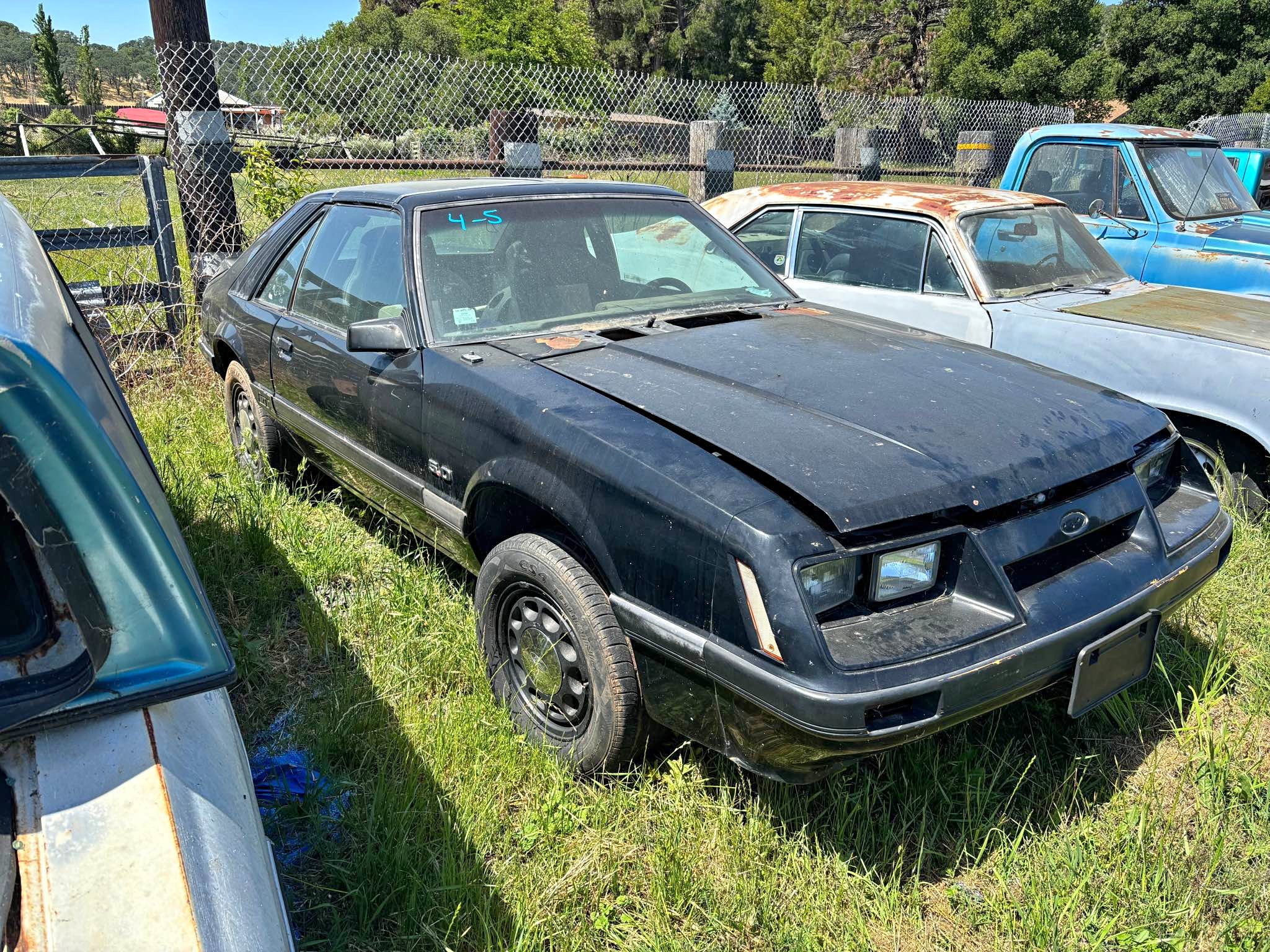 1986 Ford Mustang - GT T-Top