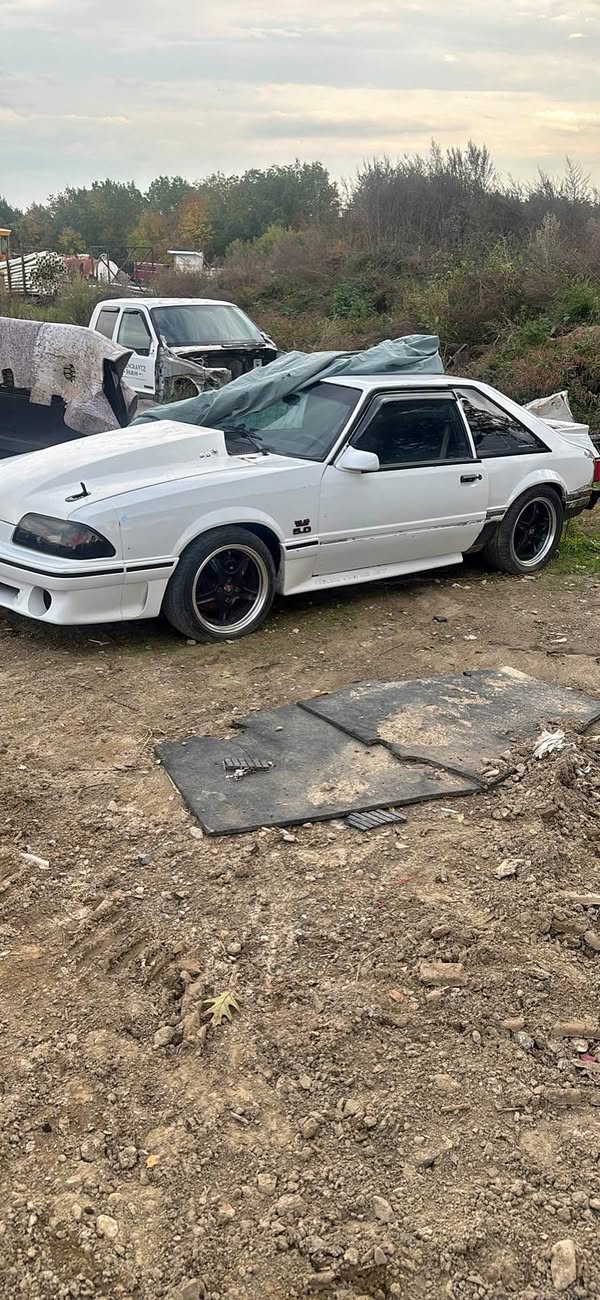 1988 Ford Mustang - GT Coupe 2D