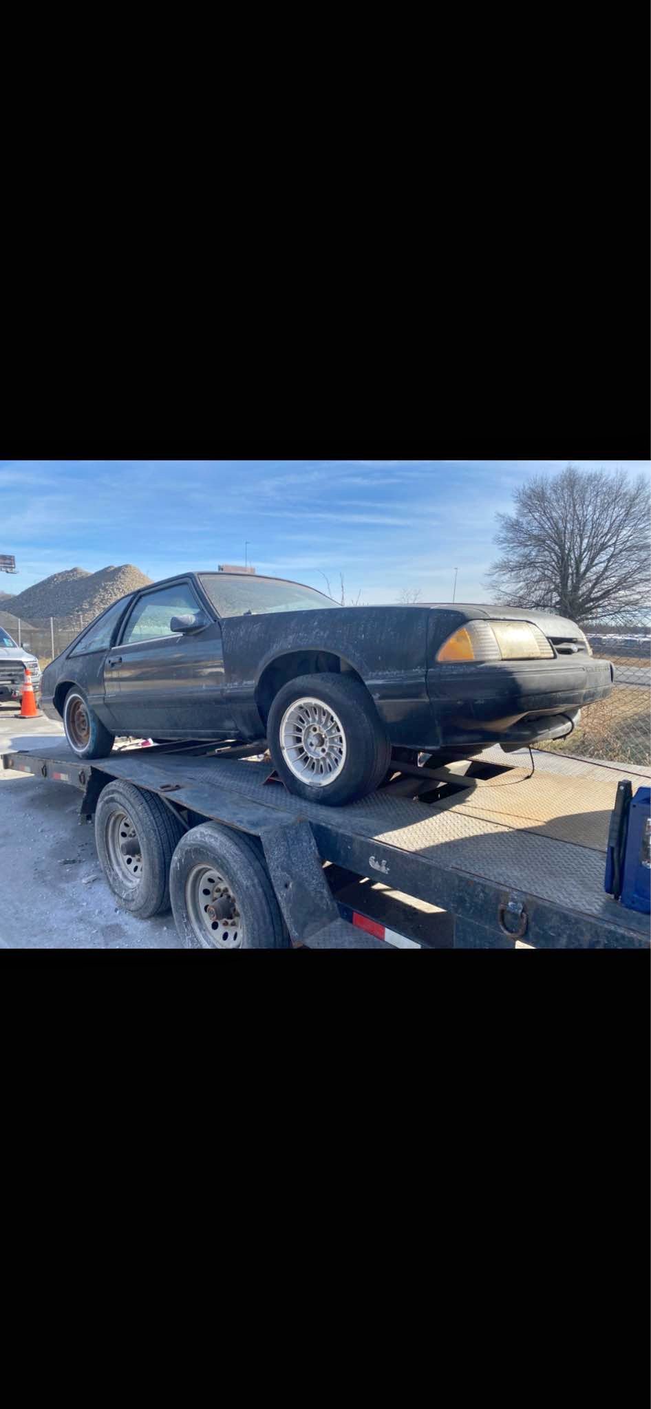 1988 Ford Mustang - LX 5.0 Liter Hatchback 2D