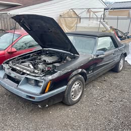 1986 Ford Mustang