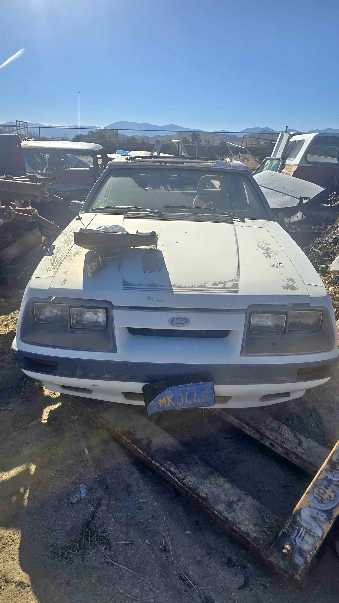 1986 Ford Mustang - LX 5.0 Liter Convertible 2D