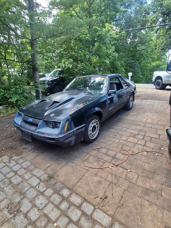 1985 Ford Mustang - Lx