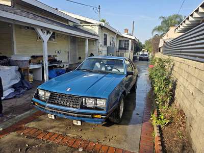1979 Ford Mustang - LX Hatchback 2D