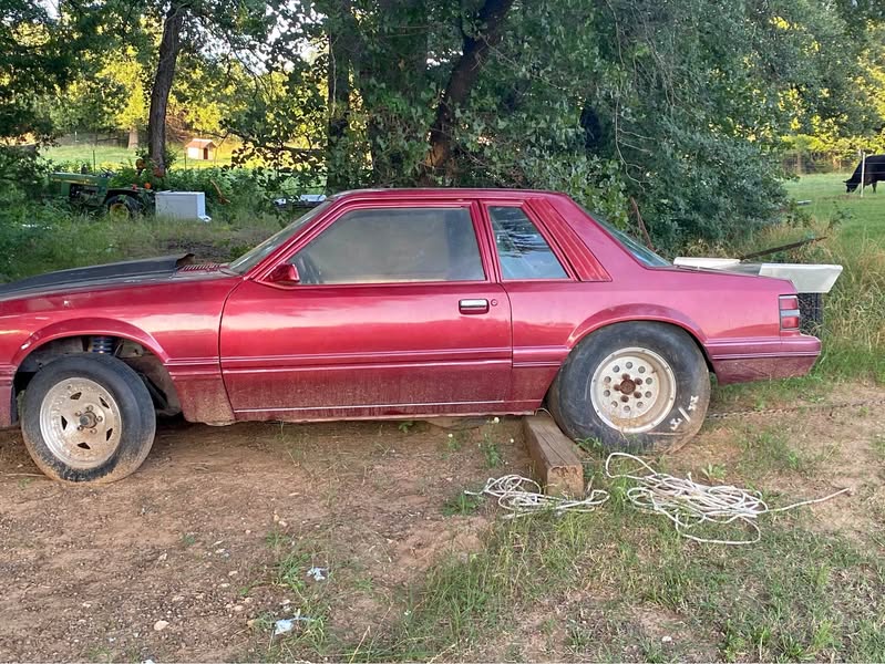 1979 Ford Mustang - O