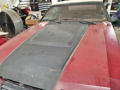 1983 Ford Mustang - GT Convertible 2D