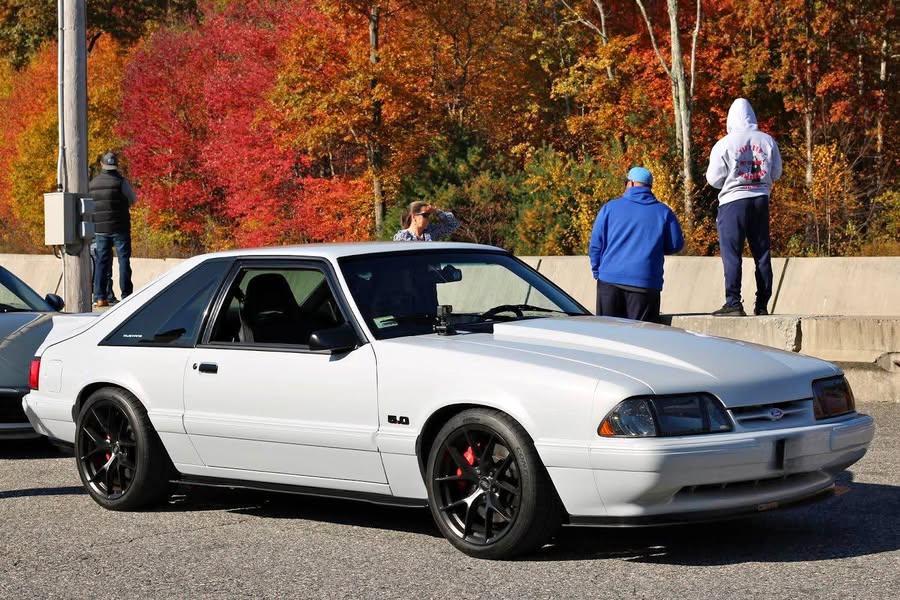 1988 Ford Mustang - LX 5.0 Liter Hatchback 2D