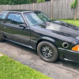 1981 Ford Mustang