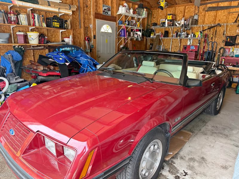 1984 Ford Mustang - LX Convertible 2D