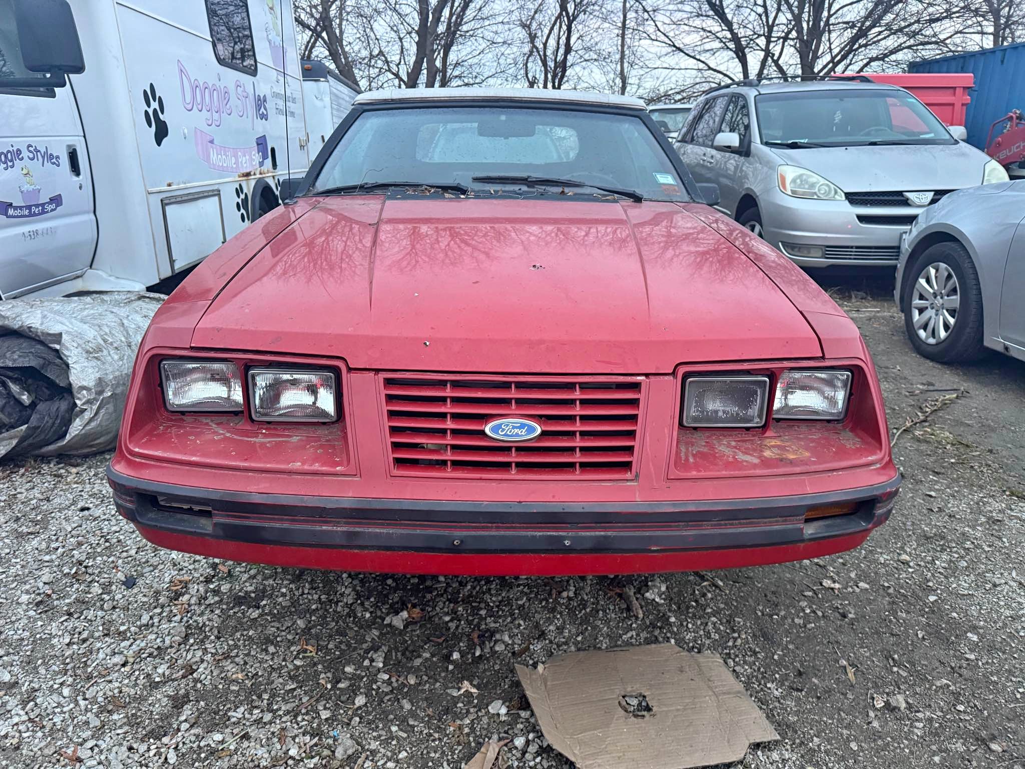 1984 Ford Mustang - LX project Car,