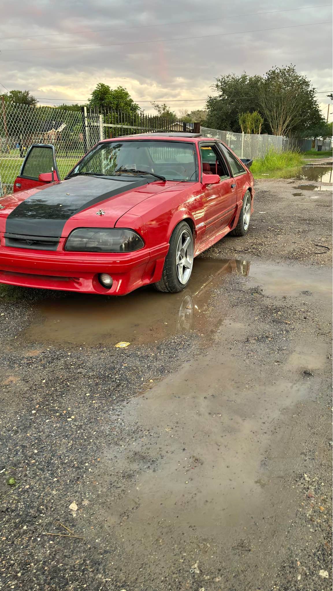 1987 Ford Mustang - 5.0
