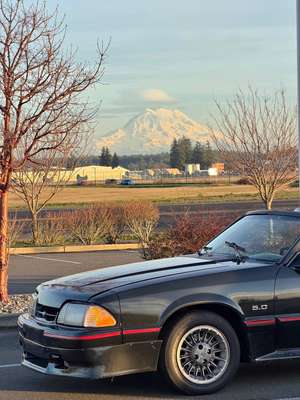 1987 Ford Mustang - Gt