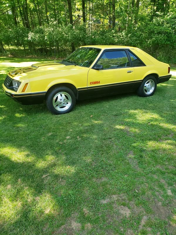 1979 Ford Mustang - Cobra Hatchback 2D