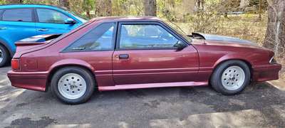 1989 Ford Mustang - GT Coupe 2D