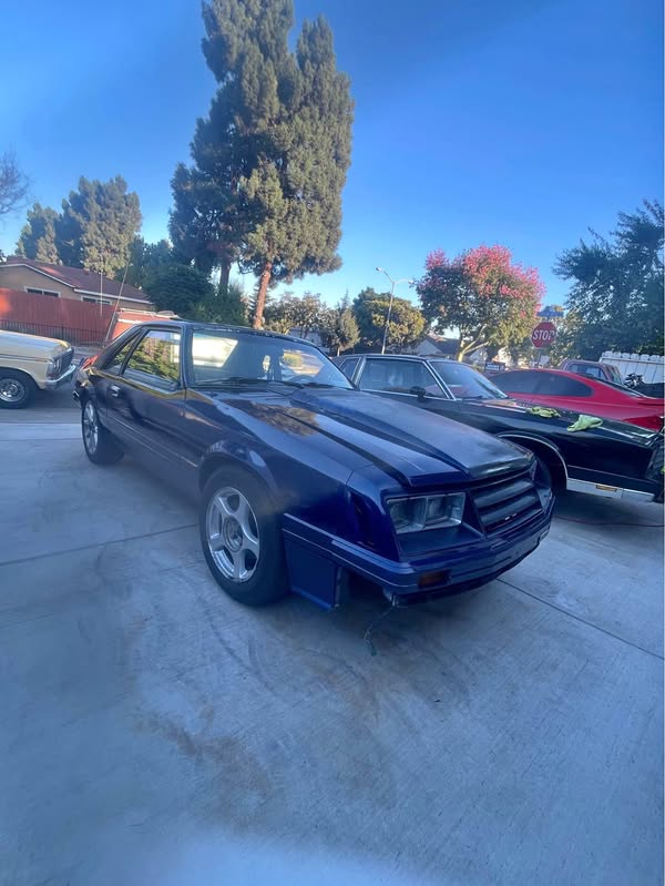 1979 Ford Mustang - LX 5.0 Liter Hatchback 2D