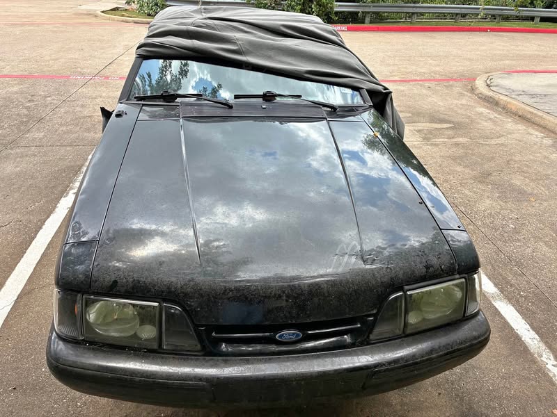 1992 Ford Mustang - LX 5.0 Liter Convertible 2D