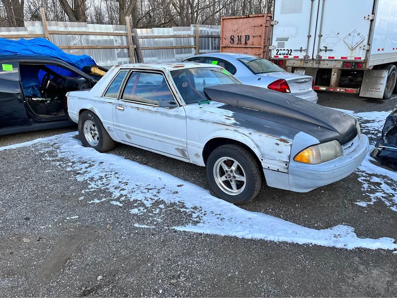1985 Ford Mustang - Coupe 2D