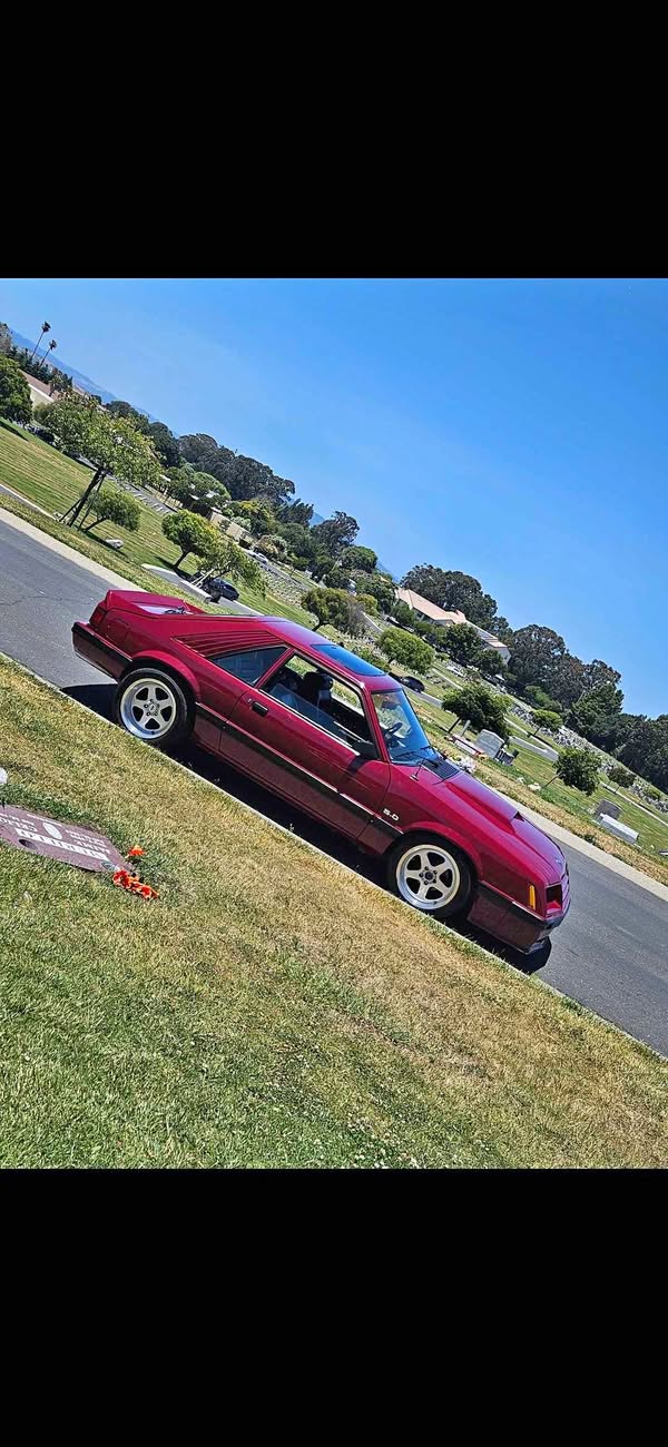 1982 Ford Mustang - GT 302