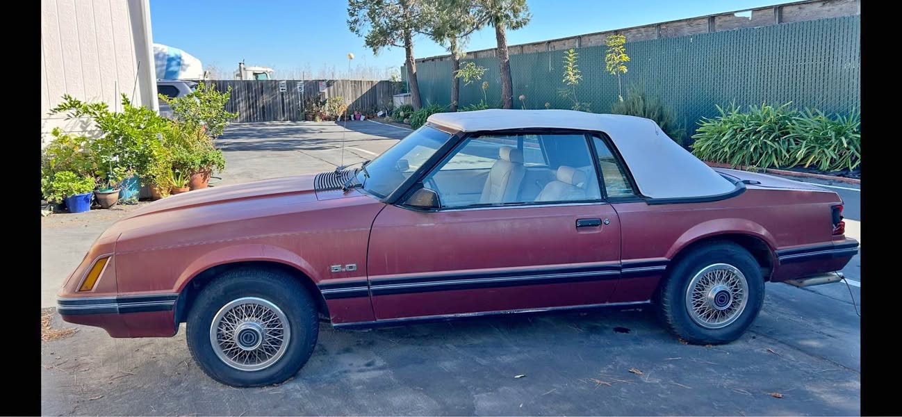 1984 Ford Mustang - LX 5.0 Liter Convertible 2D