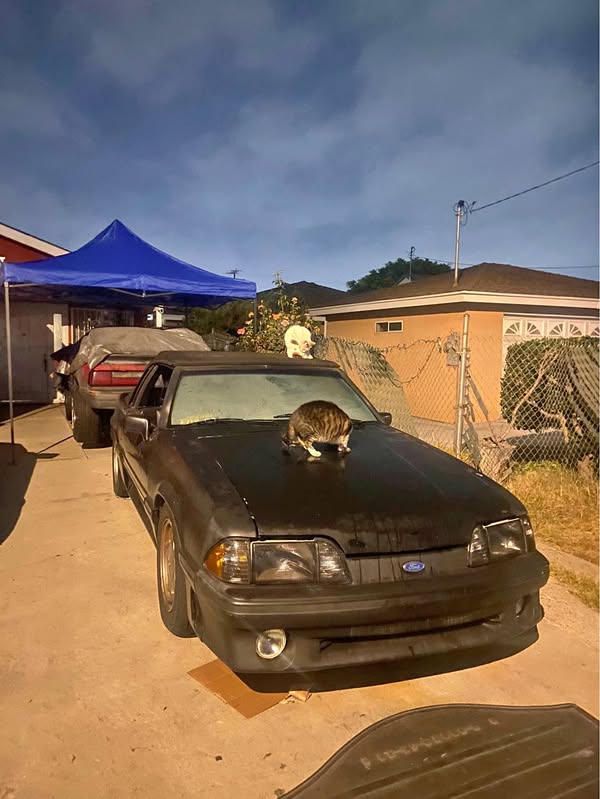 1992 Ford Mustang - GT Convertible 2D