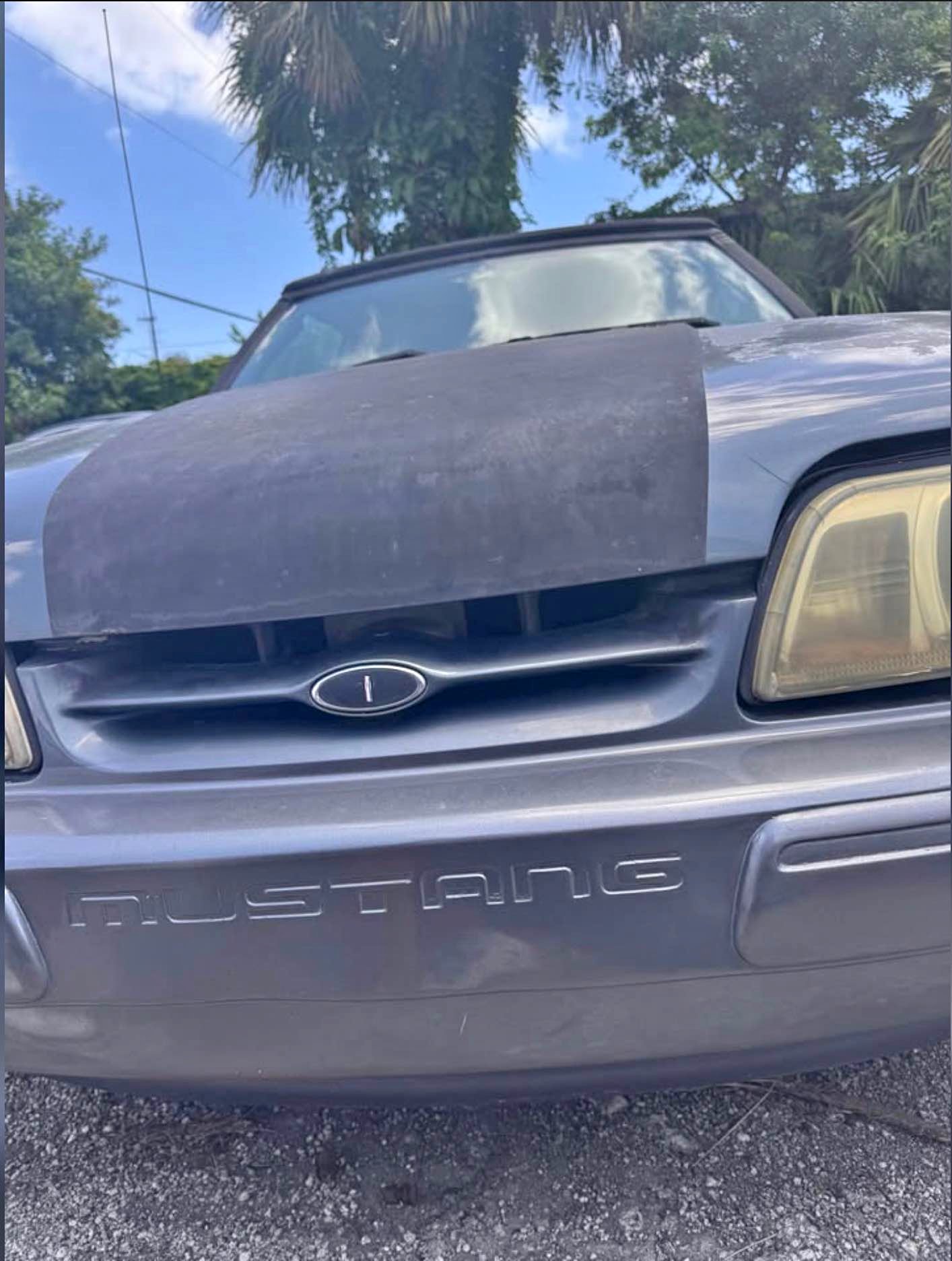 1989 Ford Mustang - Coupe 2D