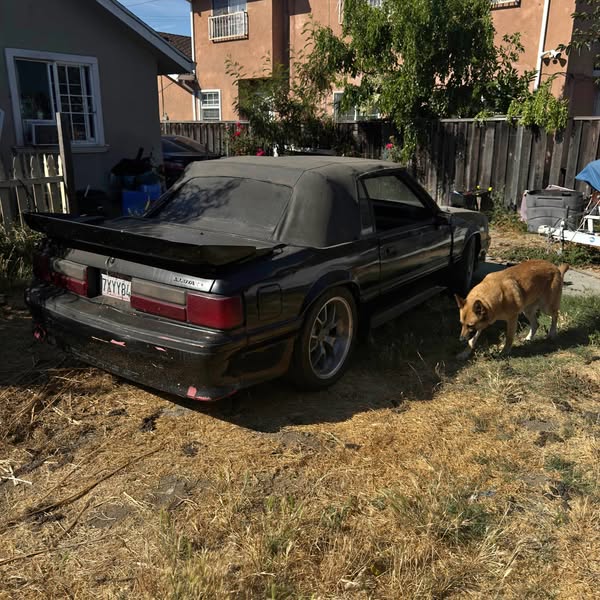 1990 Ford Mustang - Convertible 2D