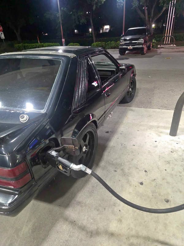 1984 Ford Mustang - GT Hatchback 2D